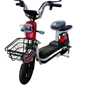 e-bike cicloruta