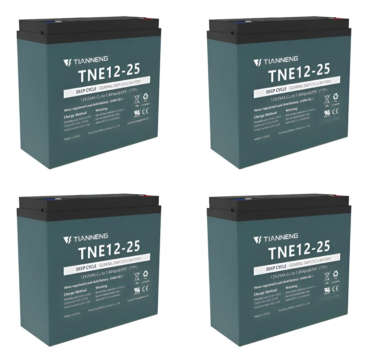 Baterias TNE-12-25
